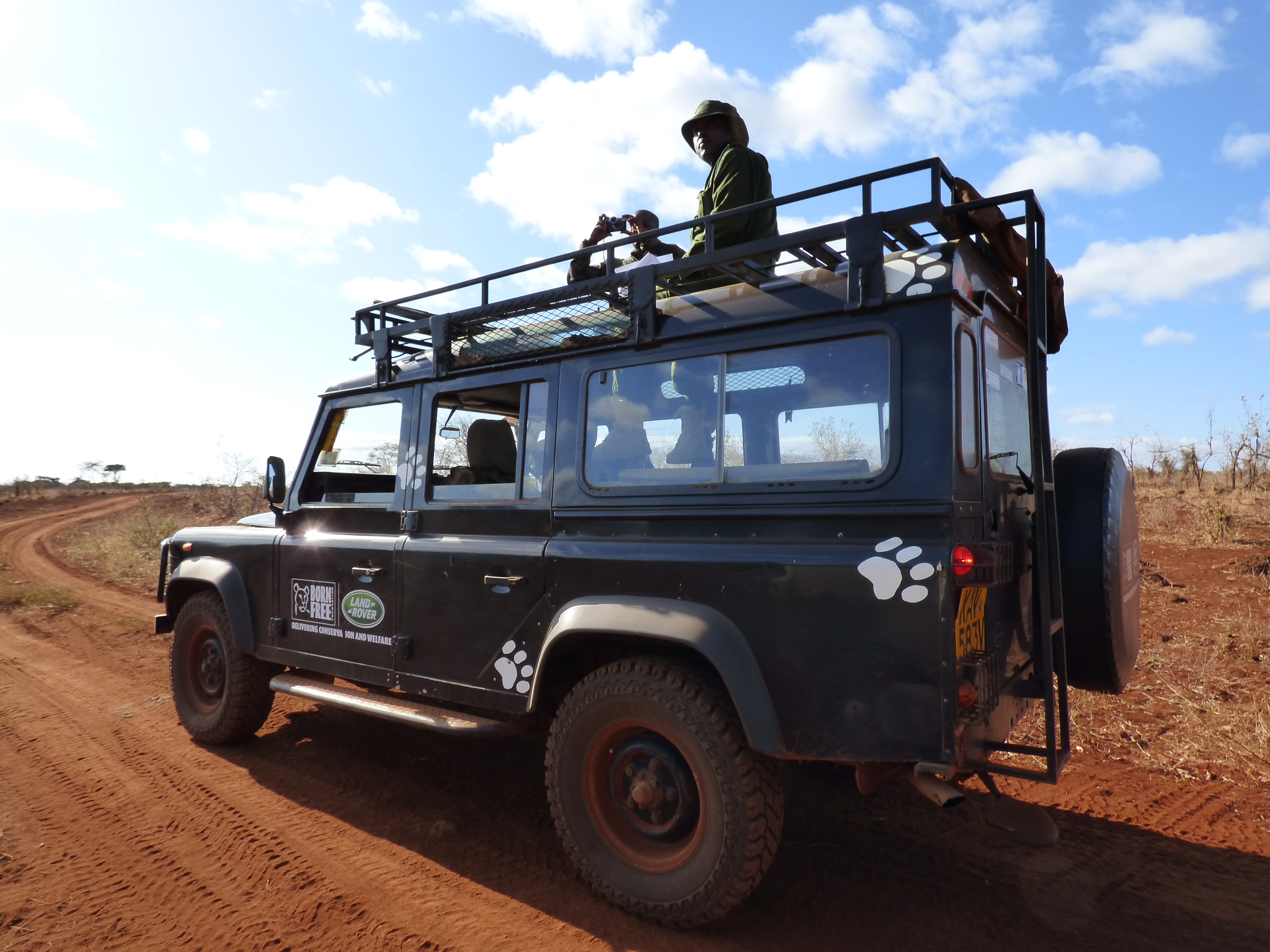 defender of wildlife 2