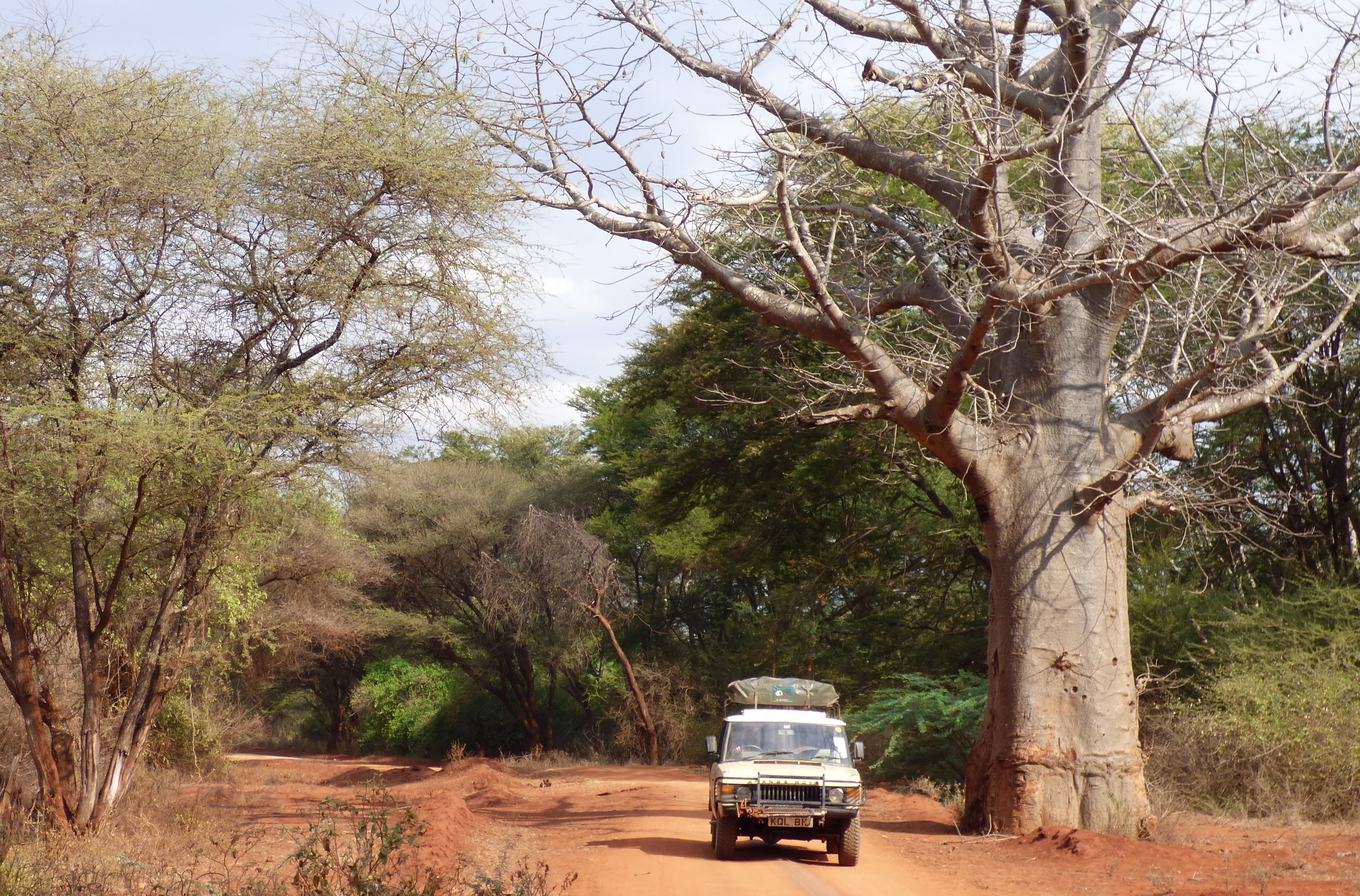 42 year old range rover