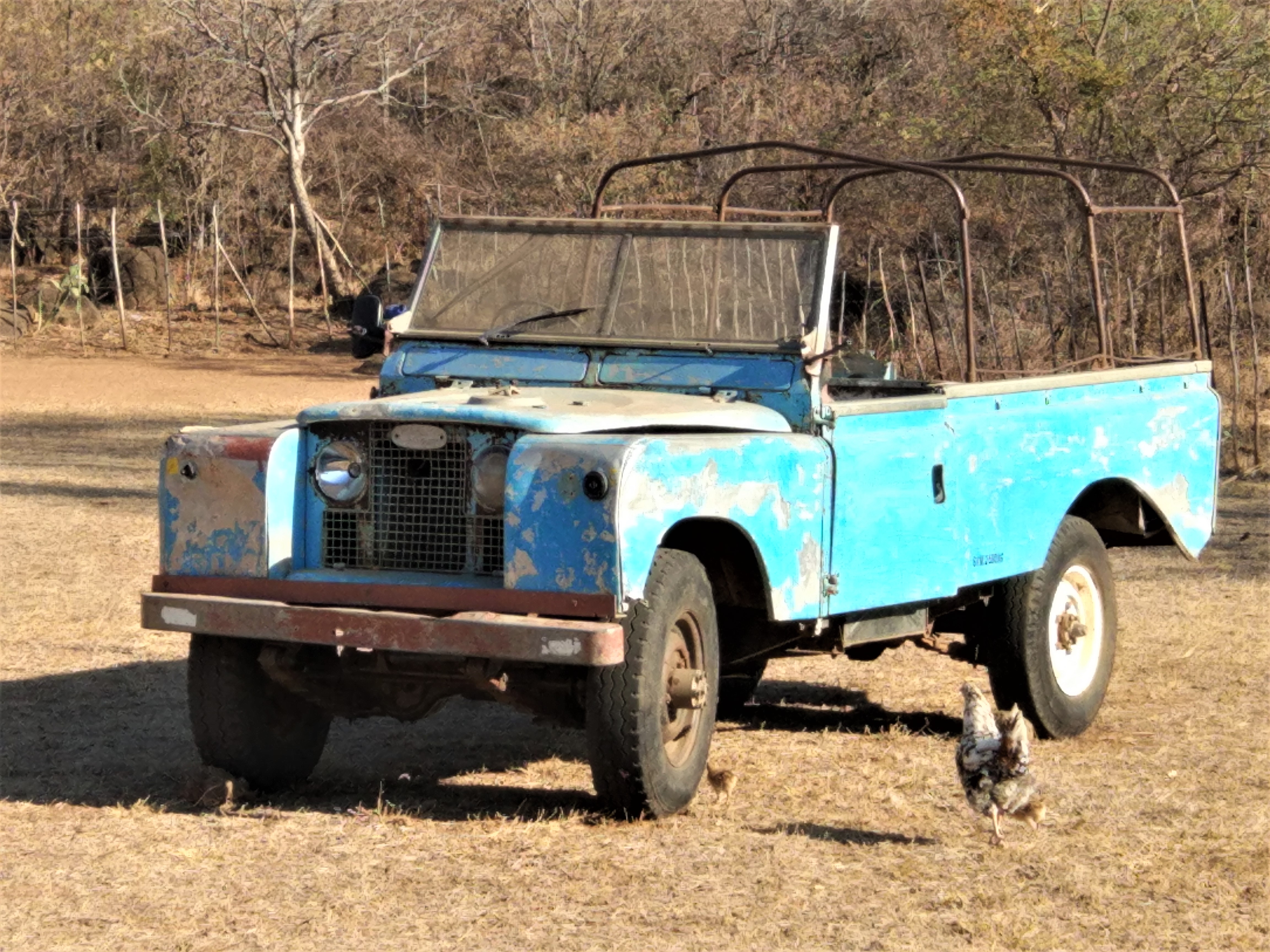 Still a working daily drive