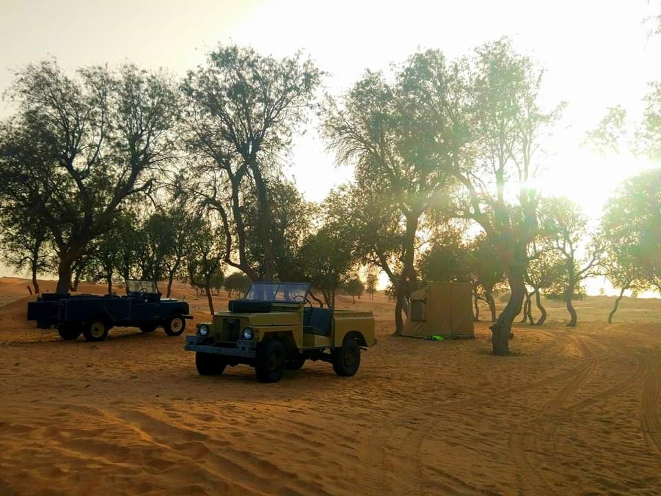 FB_IMG_1584861264993